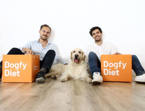 Afterwork: Dogfy Diet, de 0 a 11 milions